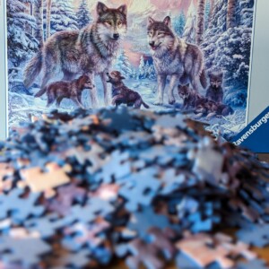 Ravensburger 1000 Teile Puzzle „Arktische Wölfe“