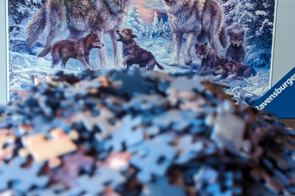 Arktische Wölfe – Ravensburger 1000 Teile Puzzle