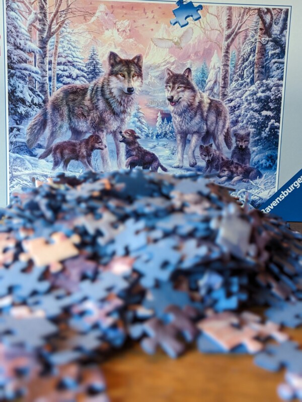 Ravensburger 1000 Teile Puzzle „Arktische Wölfe“