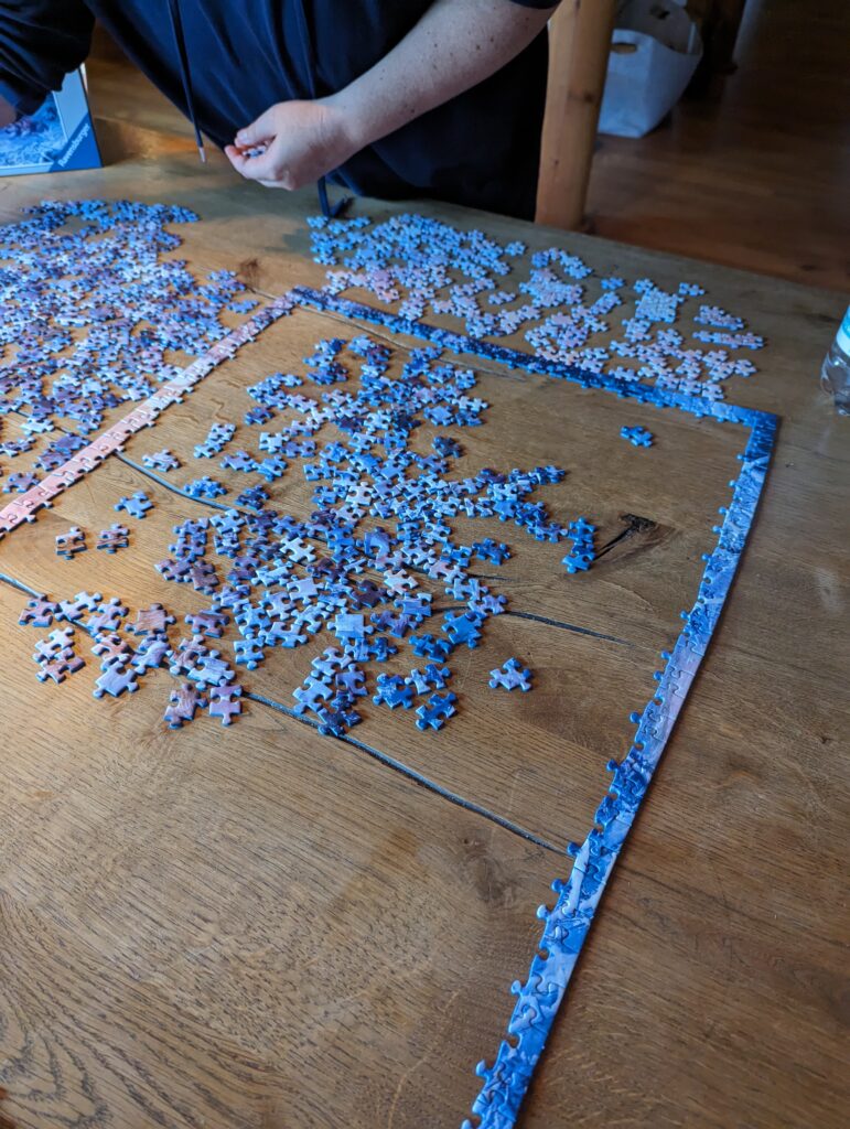 Ravensburger 1000 Teile Puzzle „Arktische Wölfe“