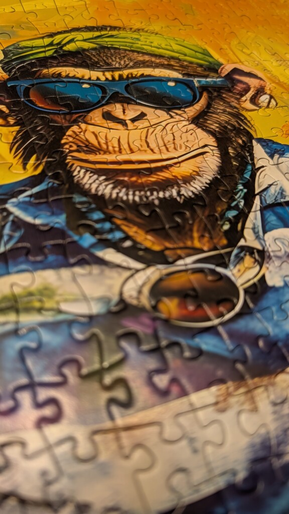 Tucocoo 1000 Teile – Rock-Affen