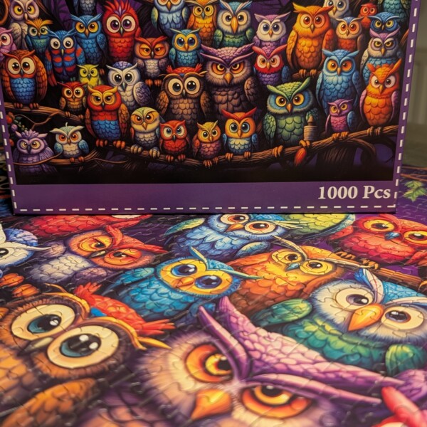 Owl Family – 1000 Teile-Puzzle – HUADADA