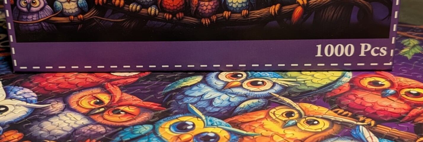 Owl Family – 1000 Teile-Puzzle – HUADADA