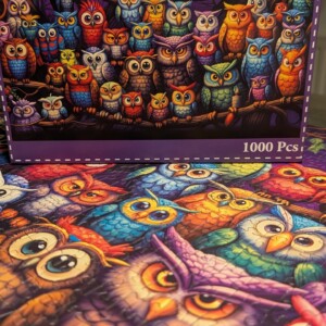 HUADADA - Owl Family - 1000 Teile-Puzzle