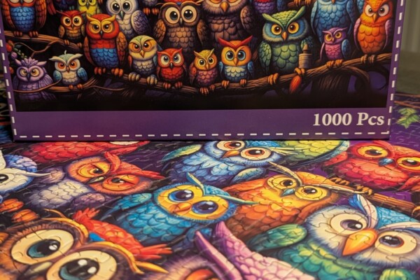 Owl Family – 1000 Teile-Puzzle – HUADADA