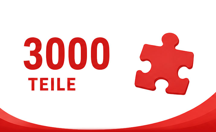 3000 Teile