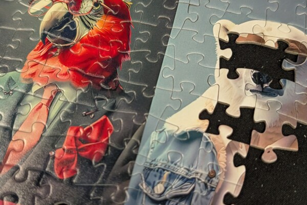 Tucocoo Puzzle „25 Tierporträts in Kleidung“ – 1000 Teile